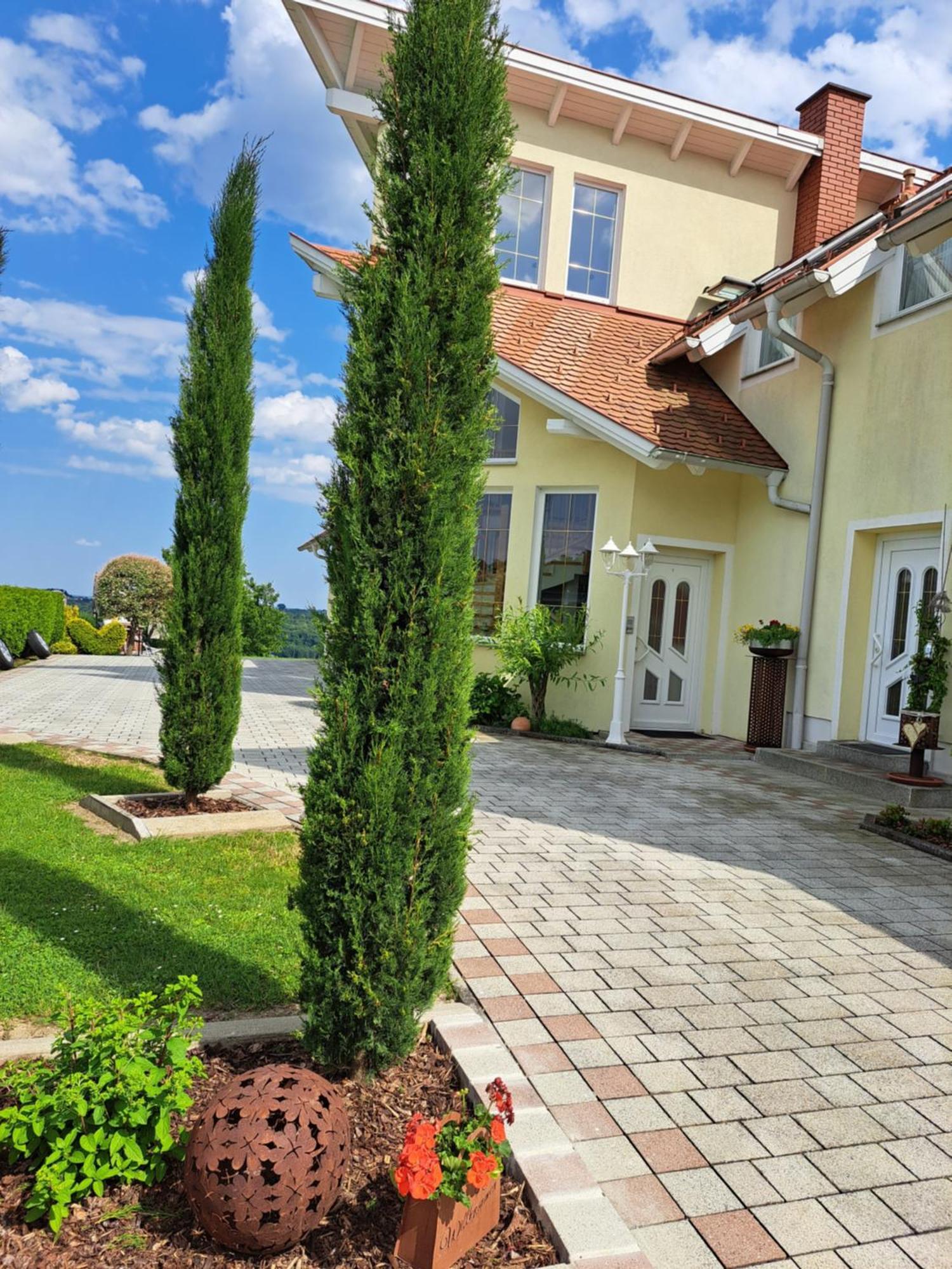 Appartement Schober Kukmirn Buitenkant foto